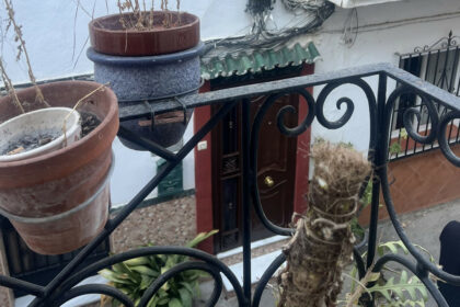 5338cf460ae49b32007d13adde4fce2a - 19