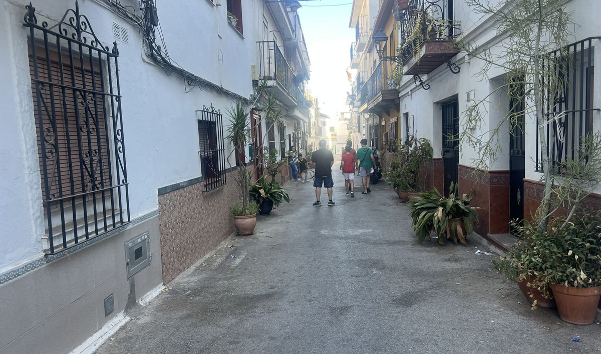 5338cf460ae49b32007d13adde4fce2a - 2