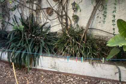 5338cf460ae49b32007d13adde4fce2a - 22