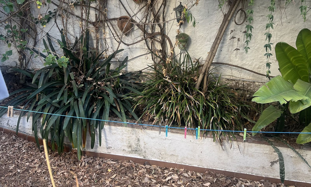 5338cf460ae49b32007d13adde4fce2a - 22