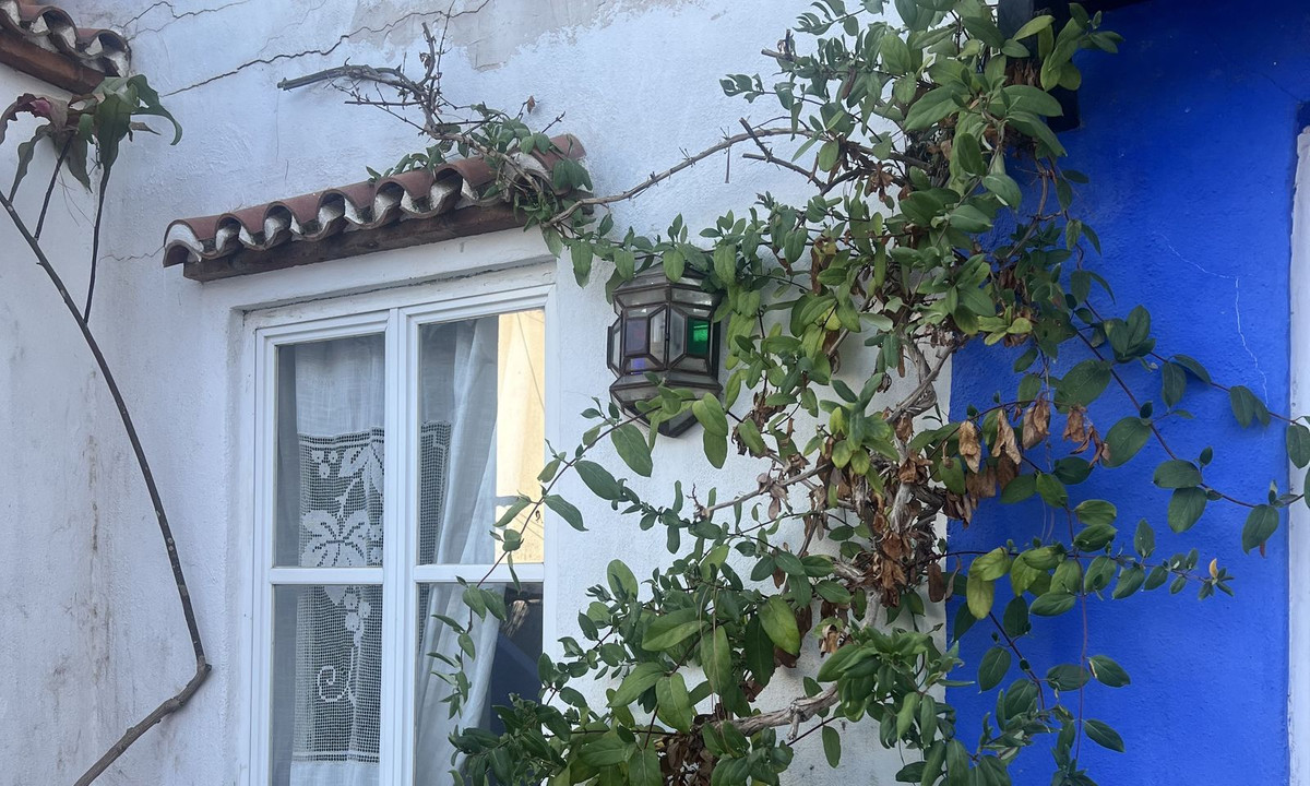 5338cf460ae49b32007d13adde4fce2a - 3