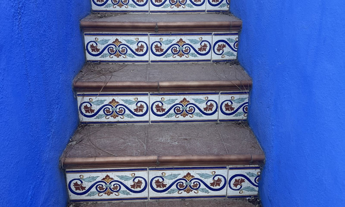 5338cf460ae49b32007d13adde4fce2a - 7