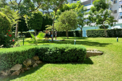 5380721c33cbba6965dbe84c15fb50ae - 29