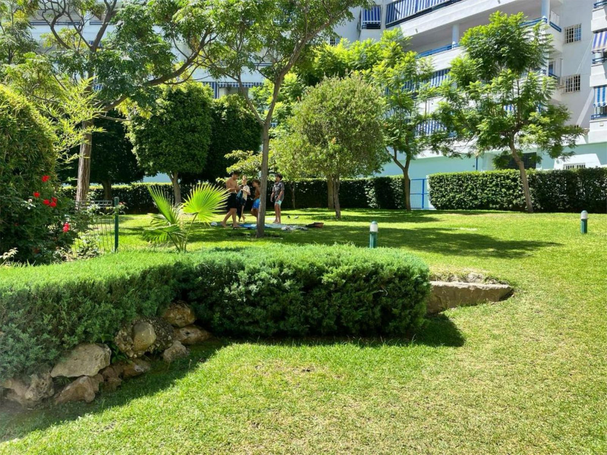 5380721c33cbba6965dbe84c15fb50ae - 29