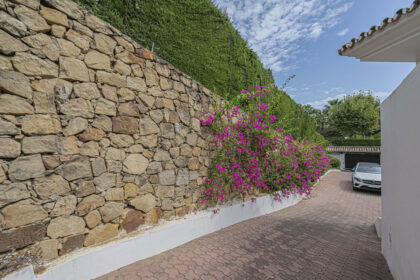 538bc234a2ca7441b8615e084116ca12 - 41