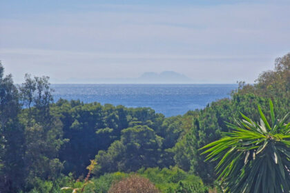 55ce485e87a54e9d5968323727a55d1b - 27