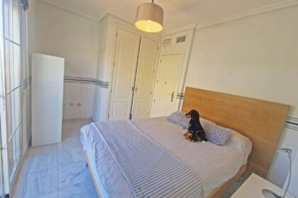 55ce485e87a54e9d5968323727a55d1b - 29