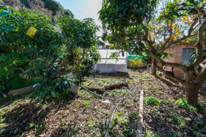 55e8d3c4d876d9abb8d9e8eaed192d34 - 32