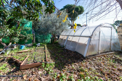 55e8d3c4d876d9abb8d9e8eaed192d34 - 33