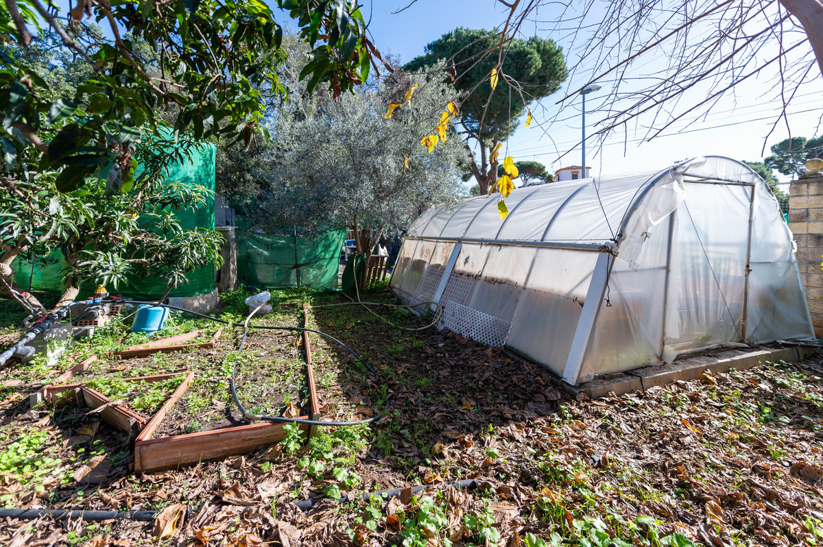 55e8d3c4d876d9abb8d9e8eaed192d34 - 33