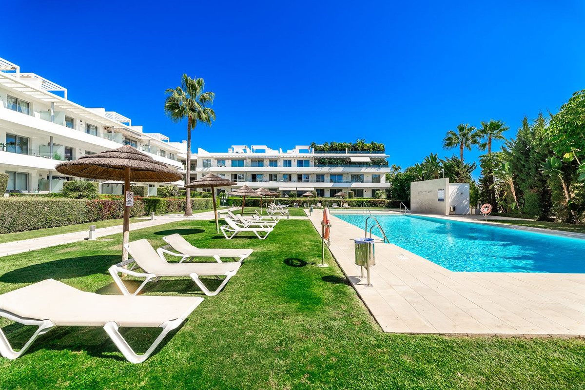 572e56a68170da2ab7a09509f9e72c19 - 12