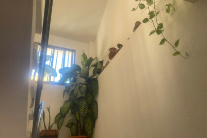 57ad1f67dbc6c3820da5d516b4b085ca - 27