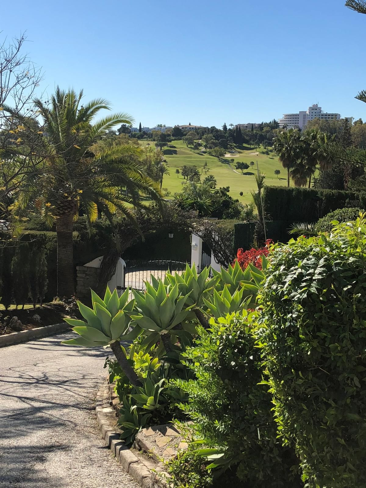 591ce3a468ce7b198552ae6c9f9d2950 - 29