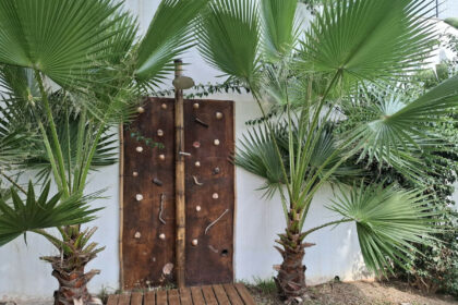 594f4453fafb1741712f20f3f03ddd04 - 38