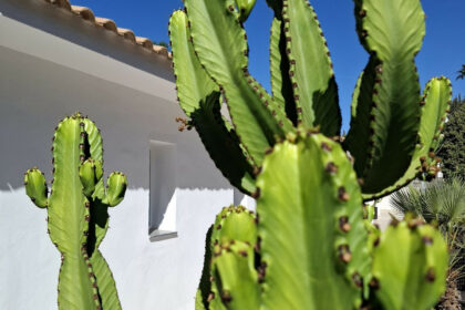 594f4453fafb1741712f20f3f03ddd04 - 60