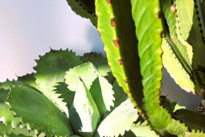 594f4453fafb1741712f20f3f03ddd04 - 65