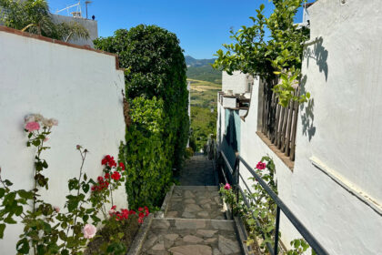 5b7f21efe10fcf1323bfdc643881b3a0 - 35