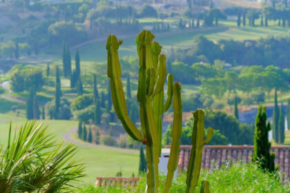 5c47fd399b7b4bb9e58be6a3fd686e57 - 36