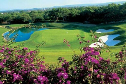 5c47fd399b7b4bb9e58be6a3fd686e57 - 50