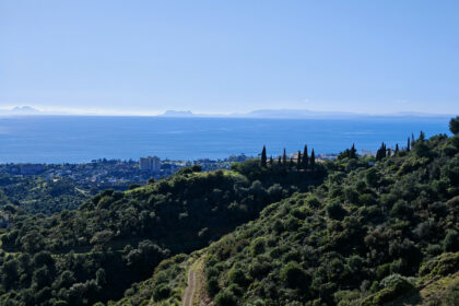 5dffa573cc01d1c75635533a1f4a7260 - 13