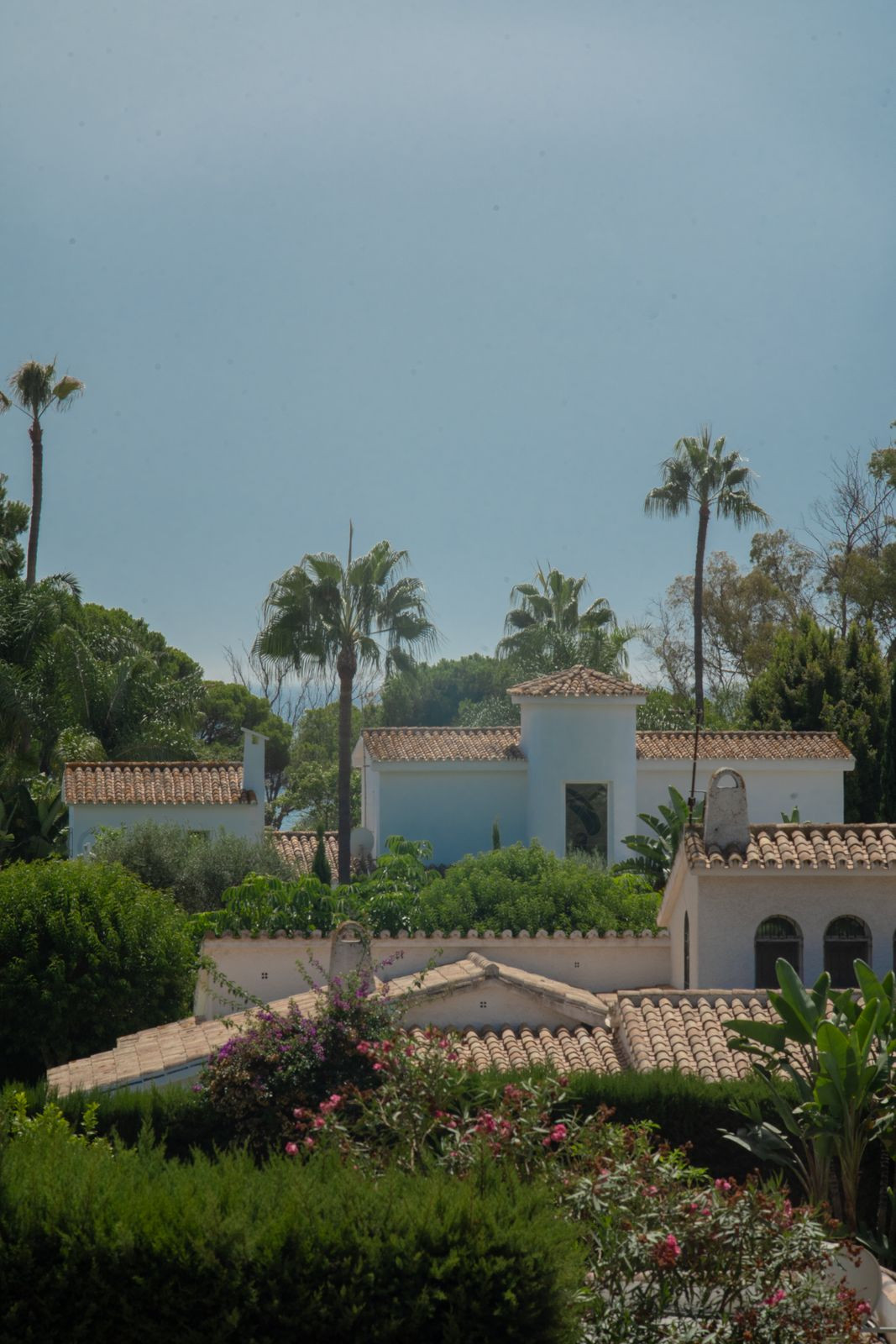 5e0935f24d6bfd2eb4b0575db7dc00b9 - 24