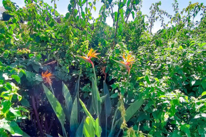 5eb1e08f26fcd71815f8f37c9c1b7249 - 78