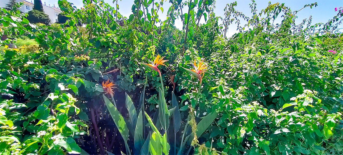 5eb1e08f26fcd71815f8f37c9c1b7249 - 78