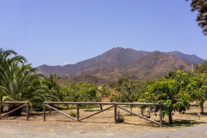 63e51f60becebf479faf4ecf0b363d0b - 19