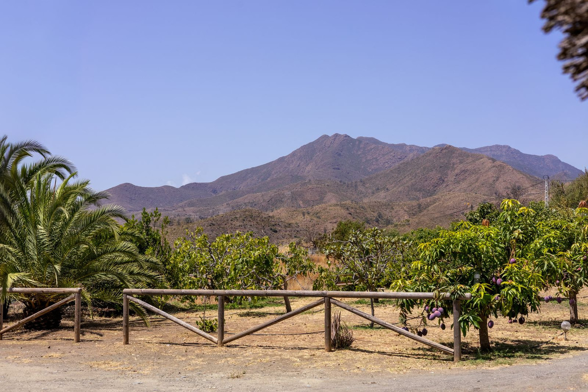 63e51f60becebf479faf4ecf0b363d0b - 19