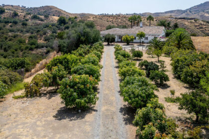 63e51f60becebf479faf4ecf0b363d0b - 21