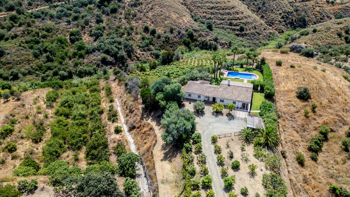 63e51f60becebf479faf4ecf0b363d0b - 23