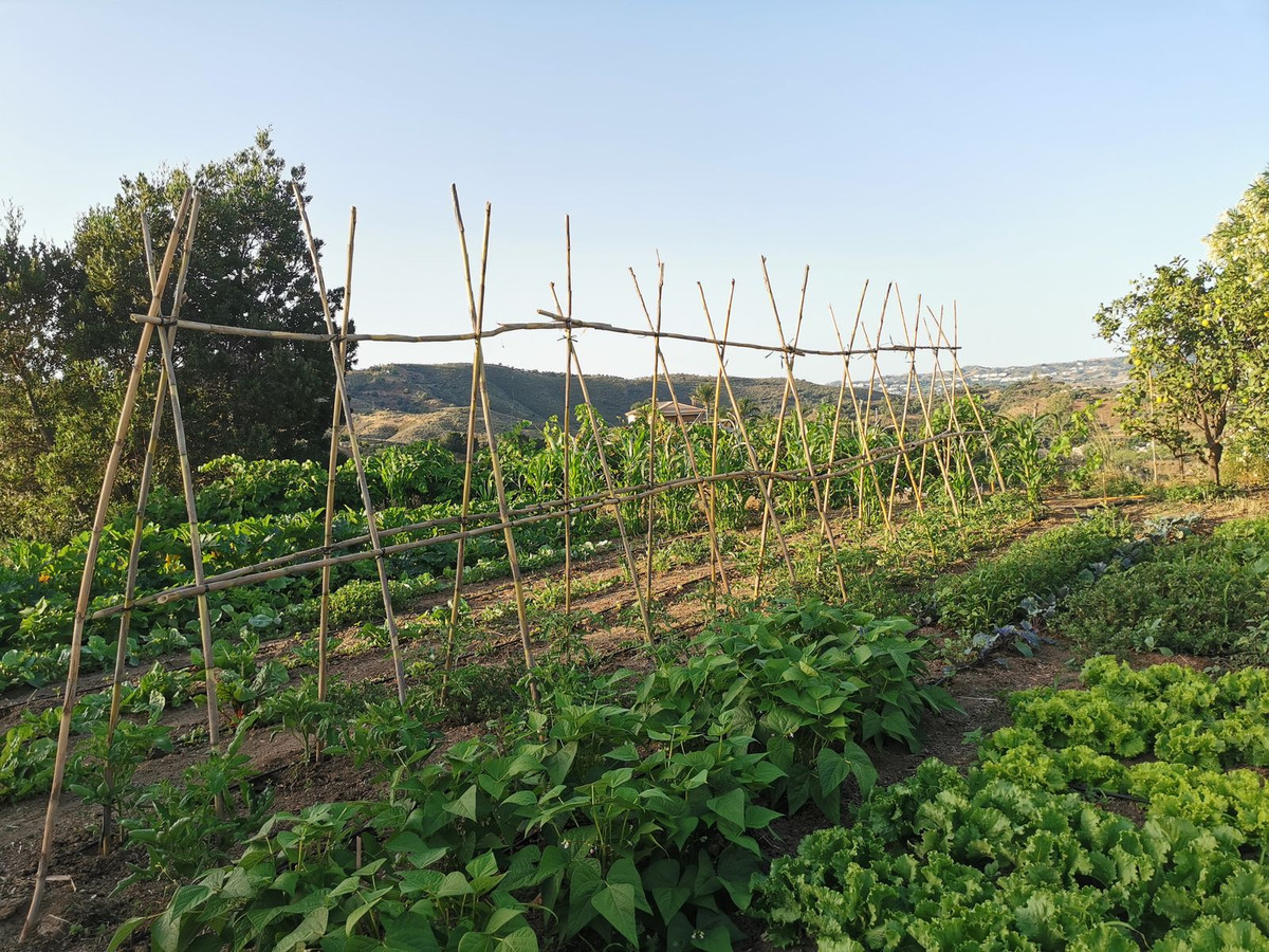 63e51f60becebf479faf4ecf0b363d0b - 25