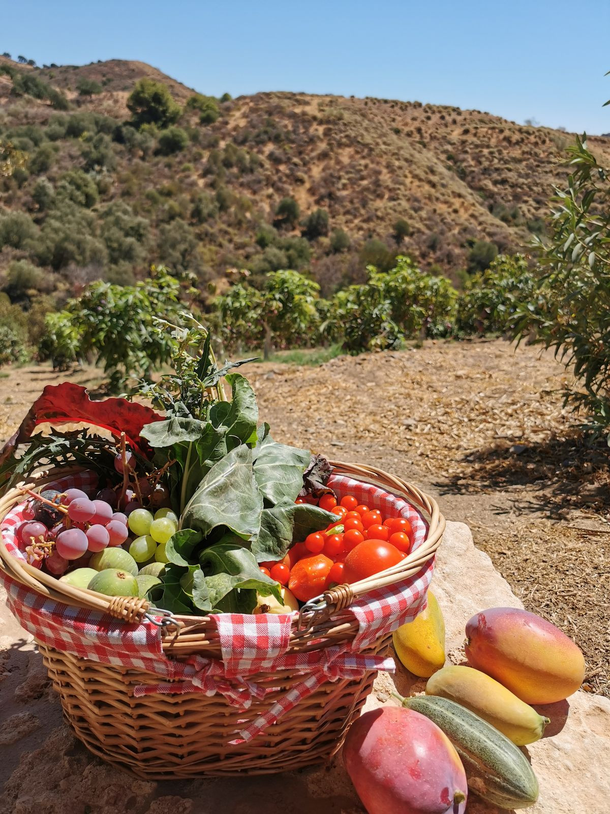 63e51f60becebf479faf4ecf0b363d0b - 26