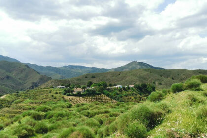 63e51f60becebf479faf4ecf0b363d0b - 27