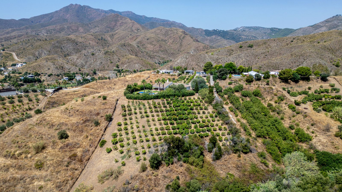 63e51f60becebf479faf4ecf0b363d0b - 28