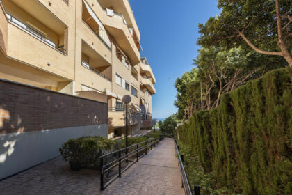 64363b50296c66c36691c57f173d346b - 19