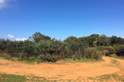 66594443e280e04e172f23e2a5fbfaab - 1