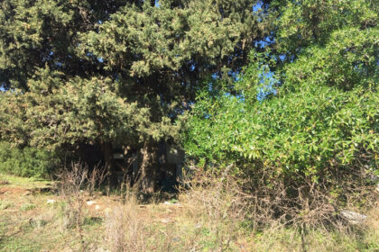 66594443e280e04e172f23e2a5fbfaab - 10