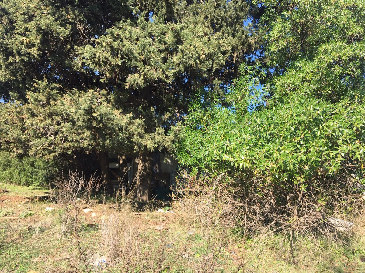 66594443e280e04e172f23e2a5fbfaab - 10