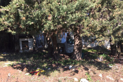 66594443e280e04e172f23e2a5fbfaab - 11