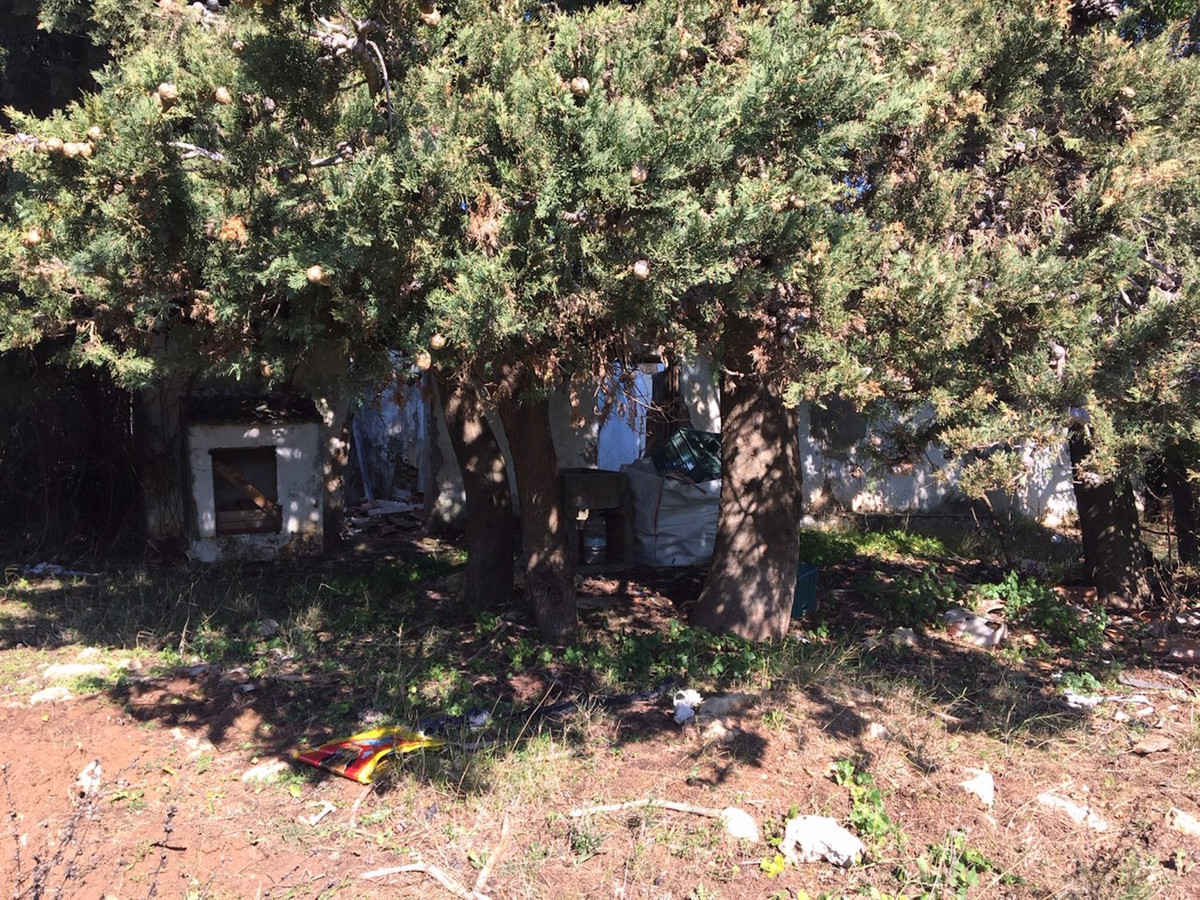 66594443e280e04e172f23e2a5fbfaab - 11