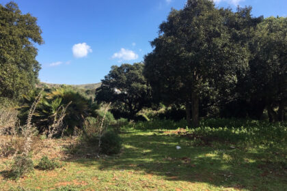 66594443e280e04e172f23e2a5fbfaab - 12