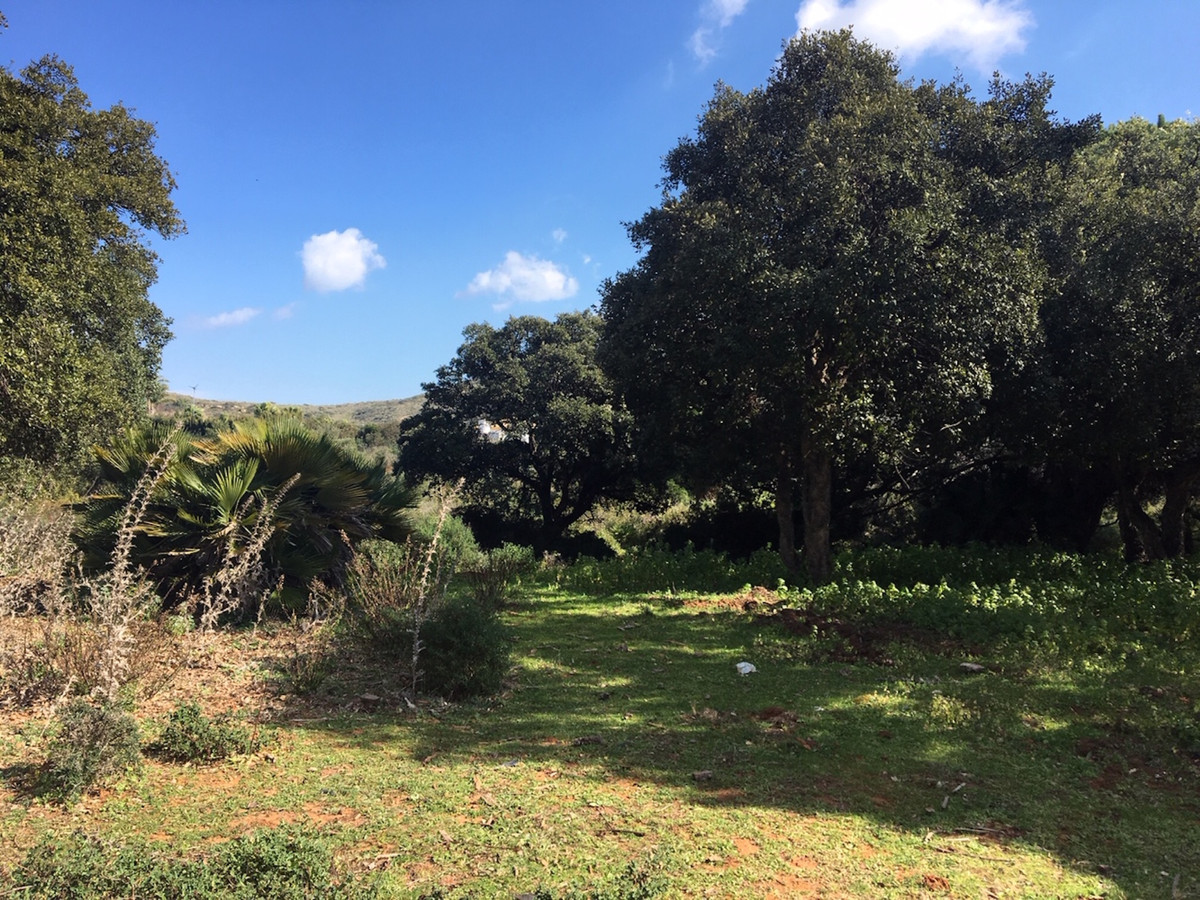 66594443e280e04e172f23e2a5fbfaab - 12