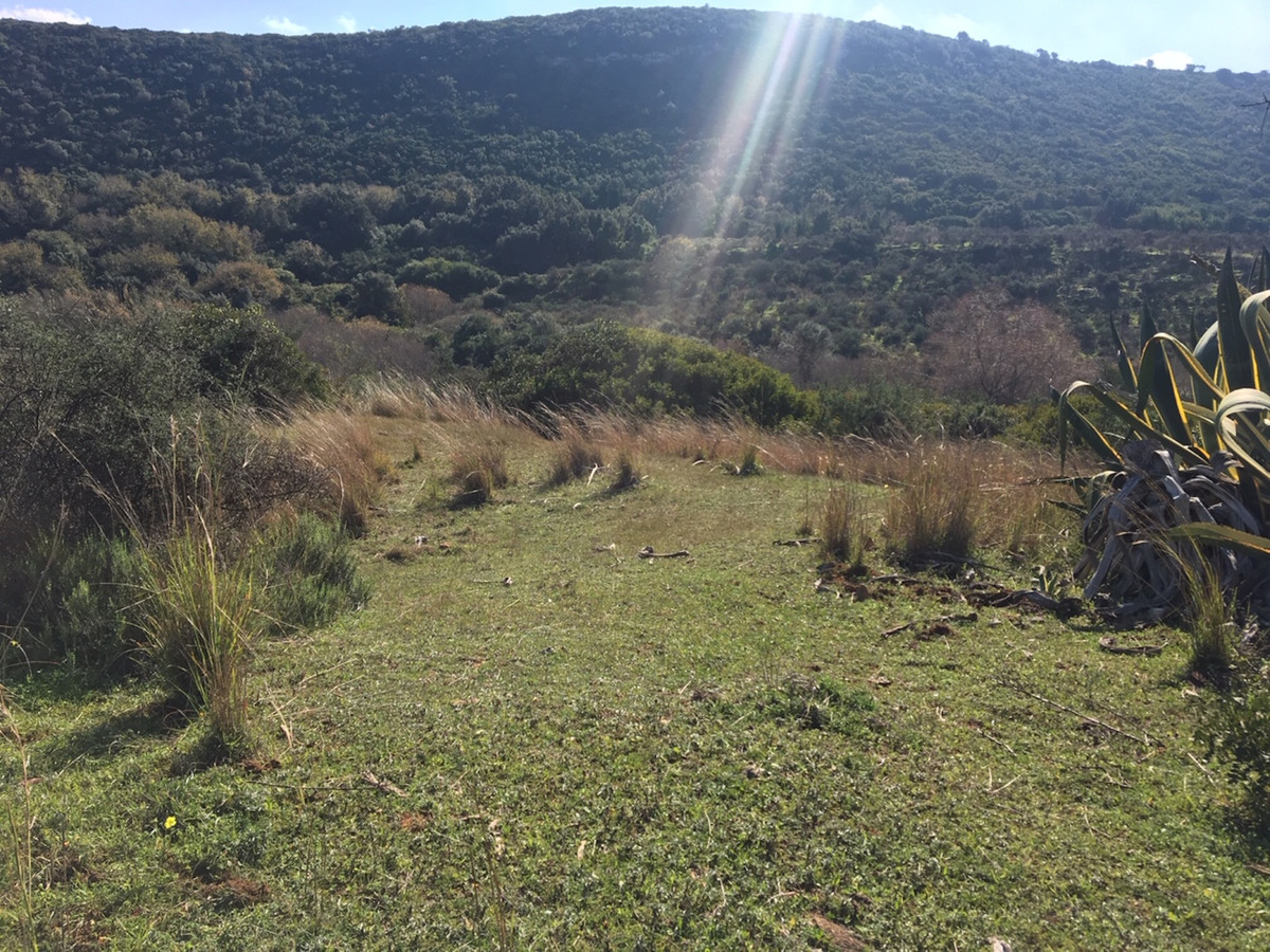 66594443e280e04e172f23e2a5fbfaab - 13