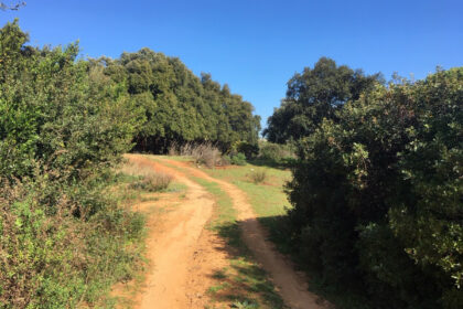 66594443e280e04e172f23e2a5fbfaab - 14