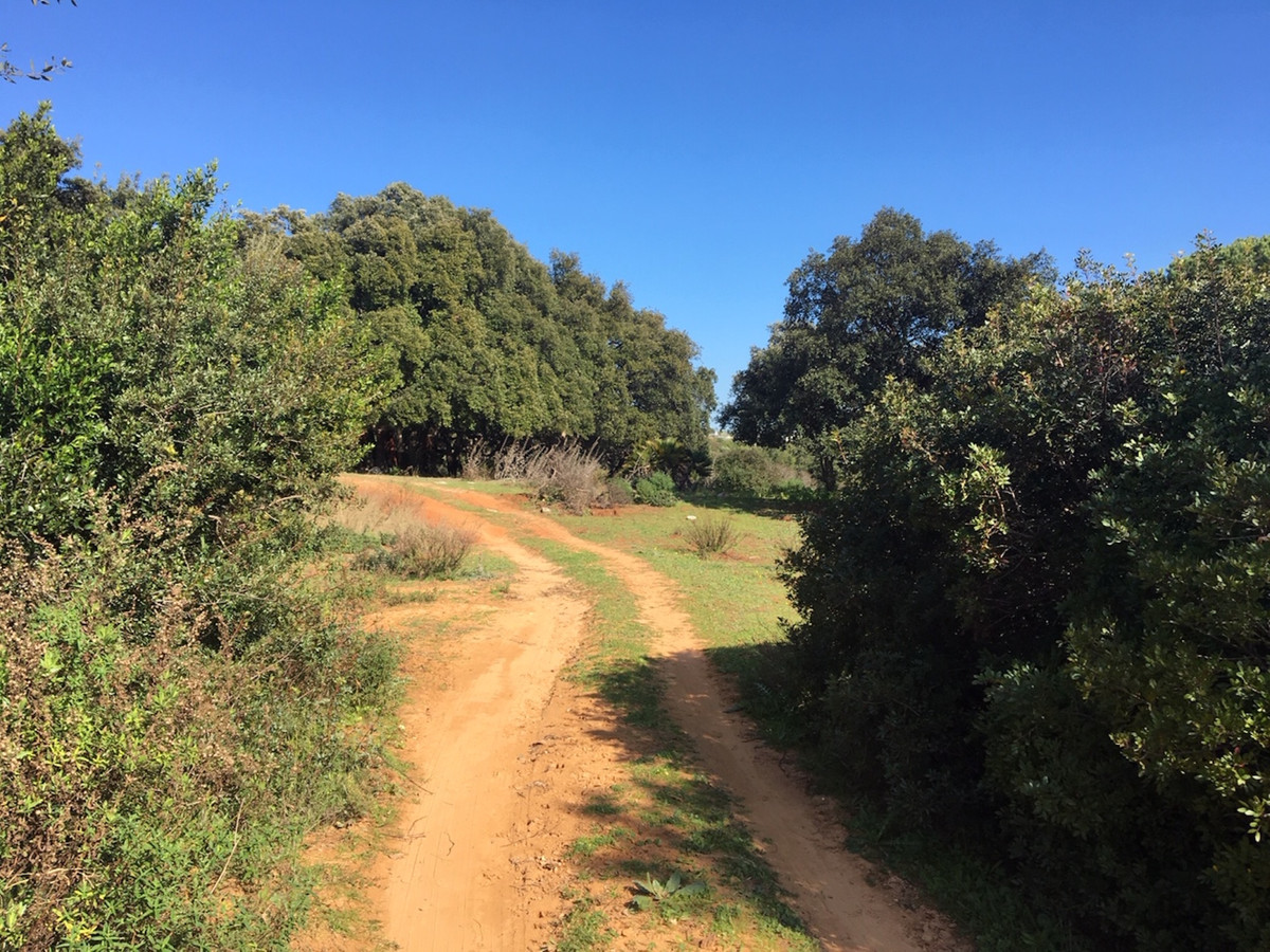 66594443e280e04e172f23e2a5fbfaab - 14