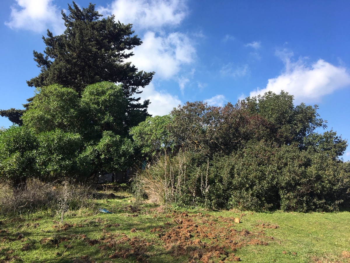 66594443e280e04e172f23e2a5fbfaab - 15