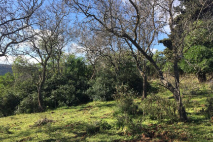 66594443e280e04e172f23e2a5fbfaab - 16