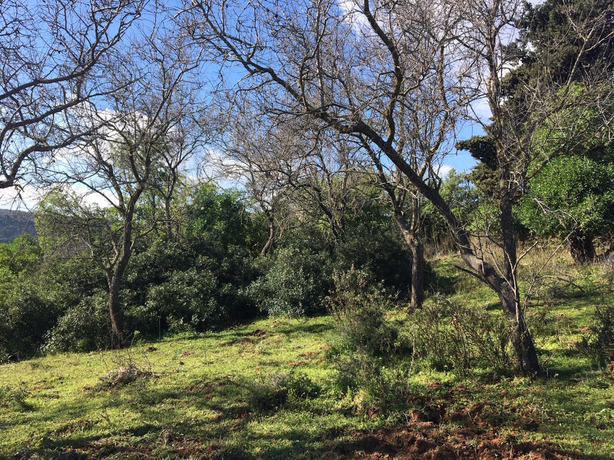 66594443e280e04e172f23e2a5fbfaab - 16