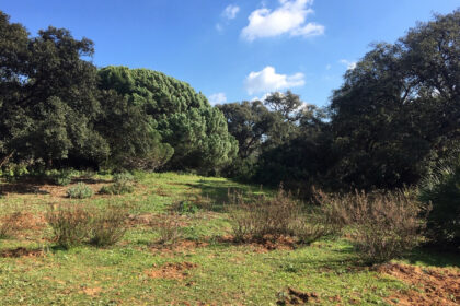 66594443e280e04e172f23e2a5fbfaab - 17